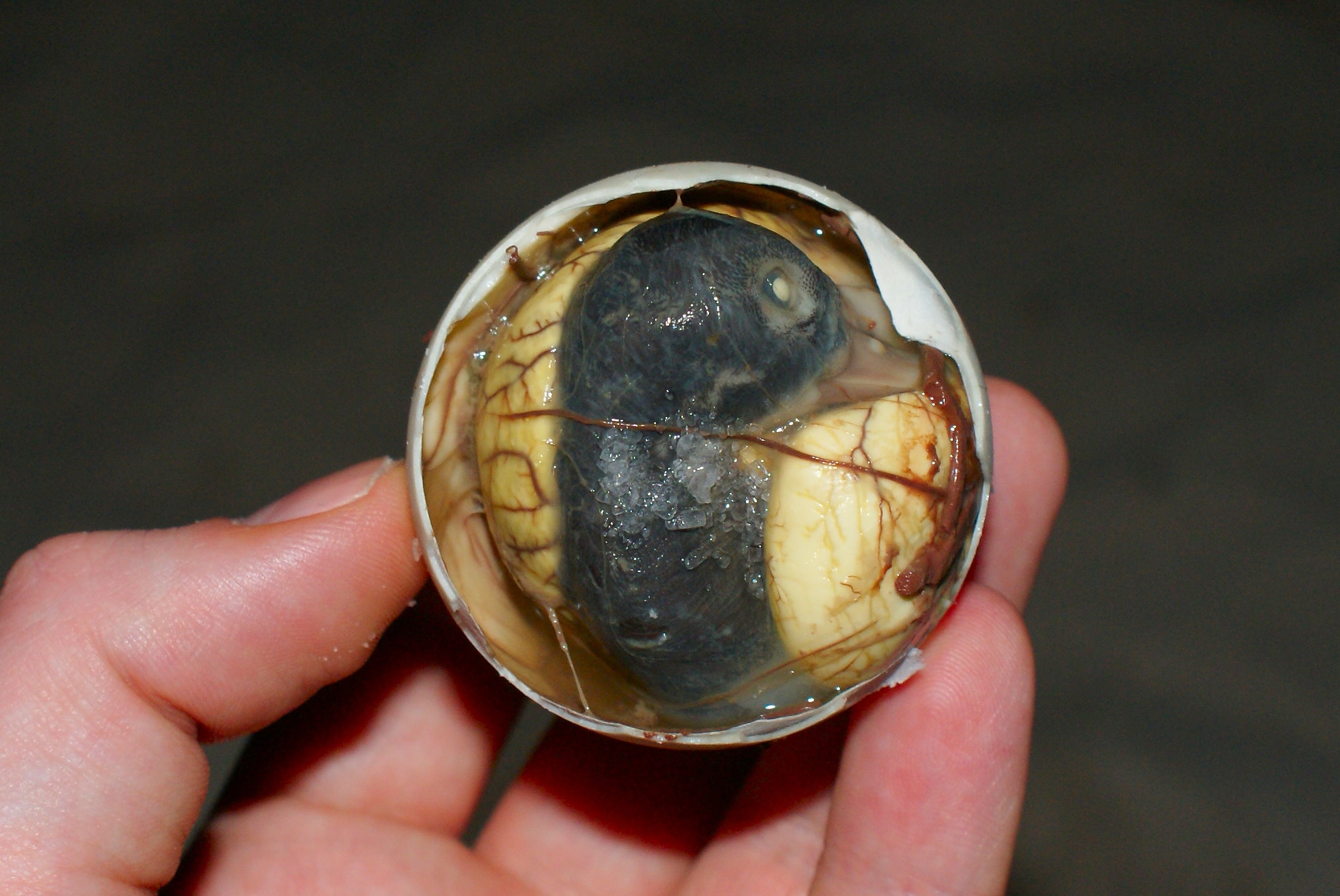 Social Issues, Balut, & God’s Desire for Introspection – Grace ...